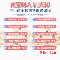 Giant little cute pet training dog training dog training course dog dog to go to the toilet fixed-point barking blasting nursing food biting