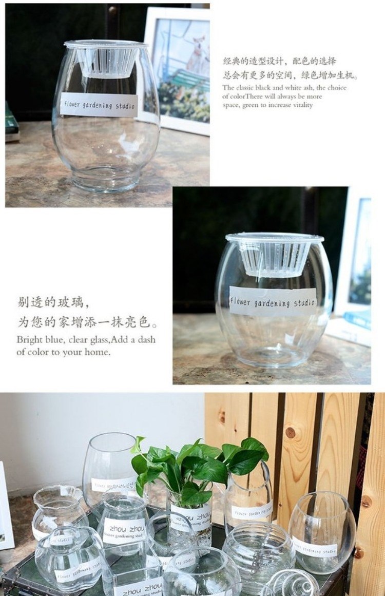 Mục vụ cây xanh lớn bó hoa đẹp nhà kính bình nước bảo trì cửa sổ hình bầu dục hoa khô phòng khách - Vase / Bồn hoa & Kệ chậu nhựa dài trồng cây