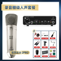 Человеческий пакет на уровне звукозаписи (B-2PRO)