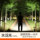 Профессиональный фонарь для кемпинга Lewoke Xiaowali 4-го поколения, длительное время автономной работы, фонарь для кемпинга большой емкости, наружное освещение, фонарь для палатки mini 2