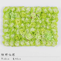 Глубокий хаки цвет зеленый дикая сказочная трасса