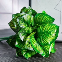 Оранжевый красный девять -круглые круглые листья 1