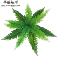 Персидский 1