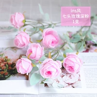 7 красочных глубоких порошковых роз 1