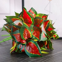 1 молочно -белый пентаолин 1