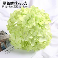 Армейский зеленый зеленый цветок гортени 5