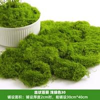 Шелковая мох светло -зеленая 30 грамм
