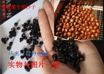 Sugar Fried Chestnut Exclusive Sand Fried Plate Chestnut Black Sand Black Stone Saute Stock Machine Sand Natural Fried Stock Sand-free