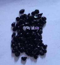 Special sand fried in fried board chestnut special sand fried plate chestnut sand has been refined 11 catty