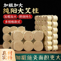 Moxibustion Post Bar Pure Ai Short Grain Plus Thick 45cm Chen-Year Grass Stick Fire Dragon Jar Special Thunderfire Moxibustion Bed Cake