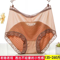 Gats up overweight PANTS WOMEN FAT mm200 CATTY Sexy Lace Transparent Hollowed-out Mesh Veil High Waist Triangle Pants Head Thin