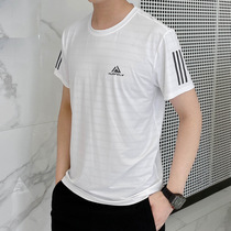 Male short sleeve T-shirt male and female overweight increase code Summer speed dry ice silk chinlon high bounce sweat and breathable fashion sports ice