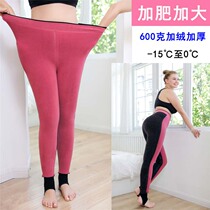 Big Code Beat Bottom Pants Women On Foot Plus Suede Thickened Warm Pants Suede Pants External Wear Gats Up Extra Weight mm200 Catty