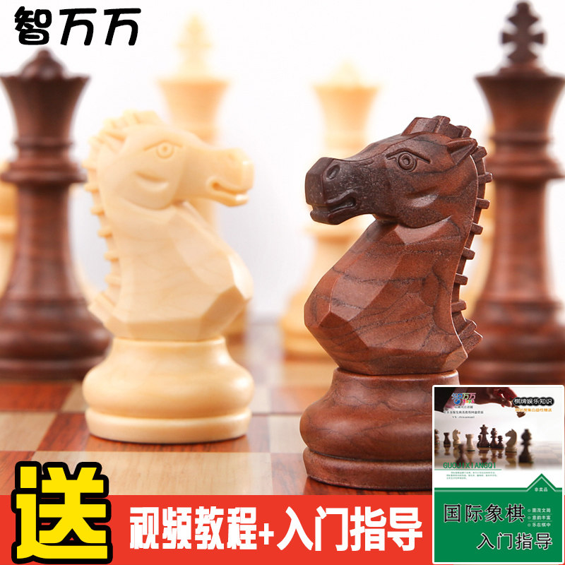 Chess magnetic chess pieces Adult high-grade chessboard Imitation solid wood Children's student introduction book chess chess