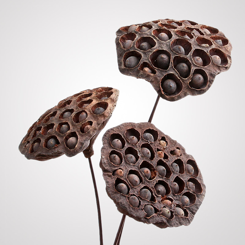 Zen Chinese style with seeds large lotus dried flowers real flowers dried dried flowers lotus bouquet air-dried natural dried flowers home furnishings