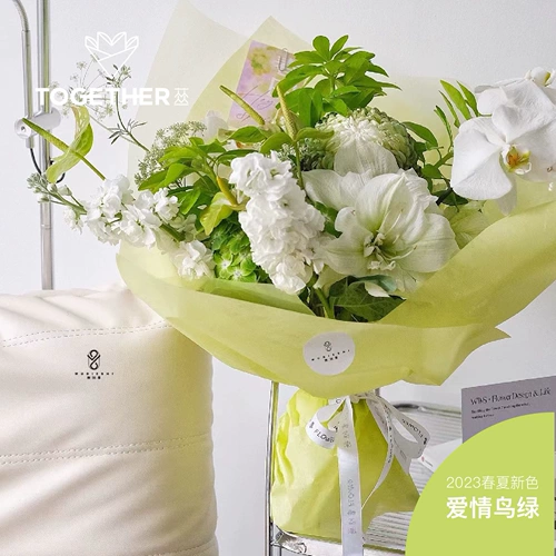 棉 苁 苁 苁 苁 苁 苁 苁 苁 苁 苁 苁 苁 苁 Подкладка