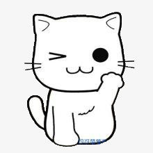 被迫营业的喵