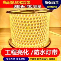 LED灯带户外防水100米220V工程塔吊地下室照明客厅白光24V36V灯条