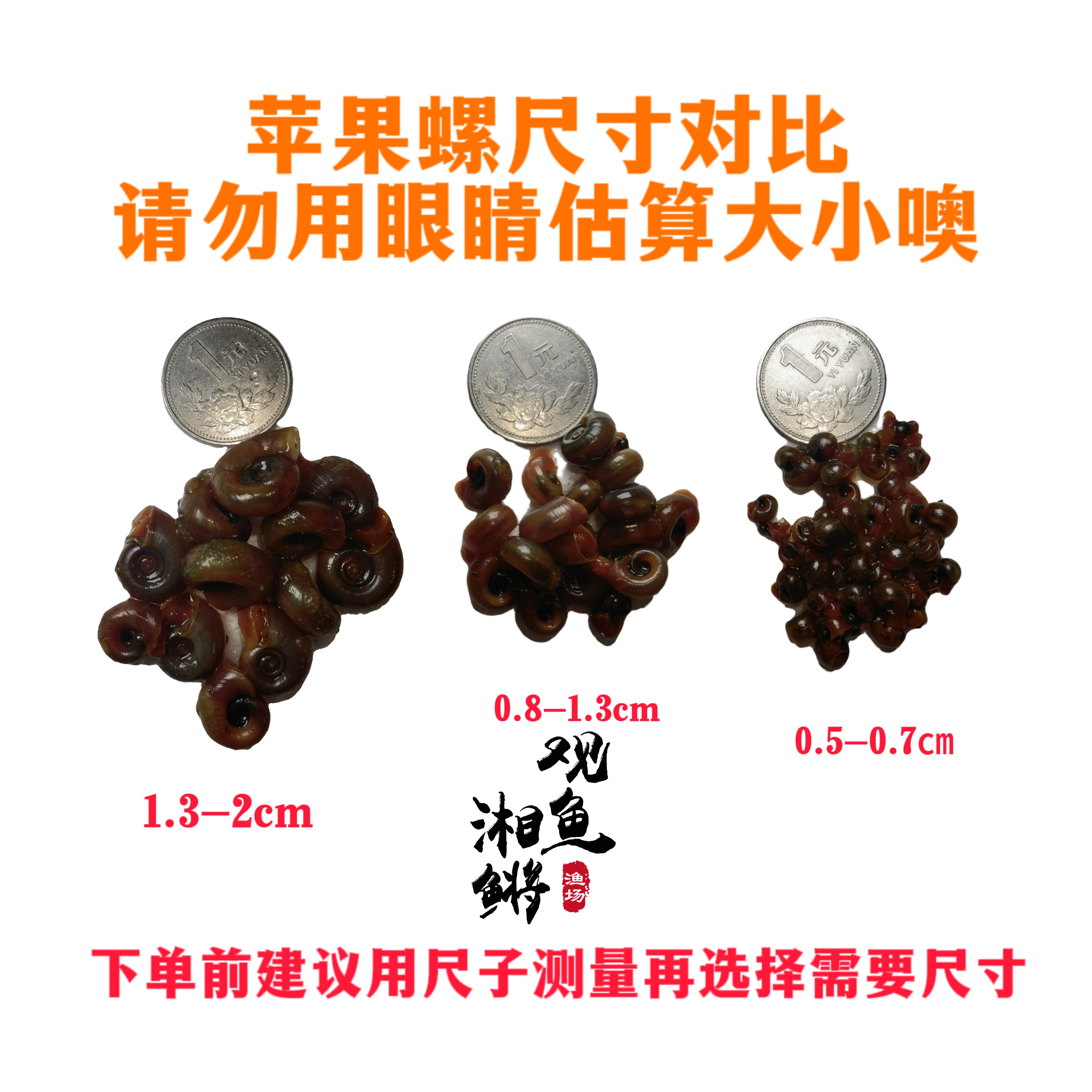 黄金价格近一年曲线图：暴跌还是机遇？2024年黄金还能买吗？-黄金价格-淘宝百科网