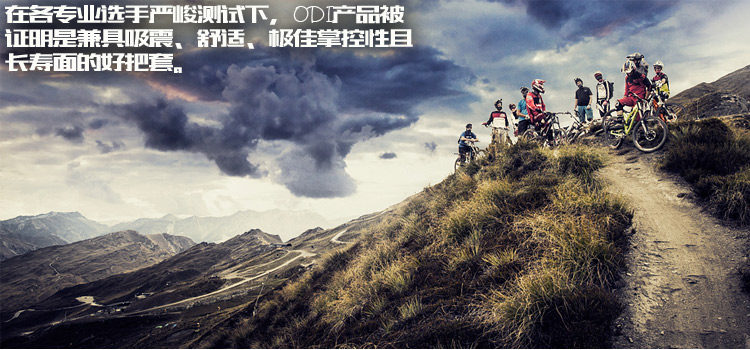 Poignées de vélo - Ref 2342677 Image 5