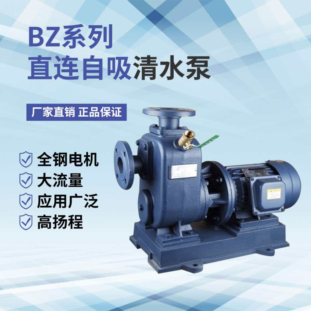 BZ direct-coupled self-priming pump pump pump high-pressure pump industry self-priming pump pipeline pump
