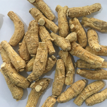 Western Ginseng Northeast Citibank Ginseng Slice Bulk 500g Supply