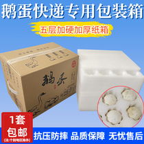 Pearl Cotton Goose Egg 12 pieces 24 Bottling Goose Eggs Packaging Box Send Transport Shockproof Anti-Fall Packaging Special Box