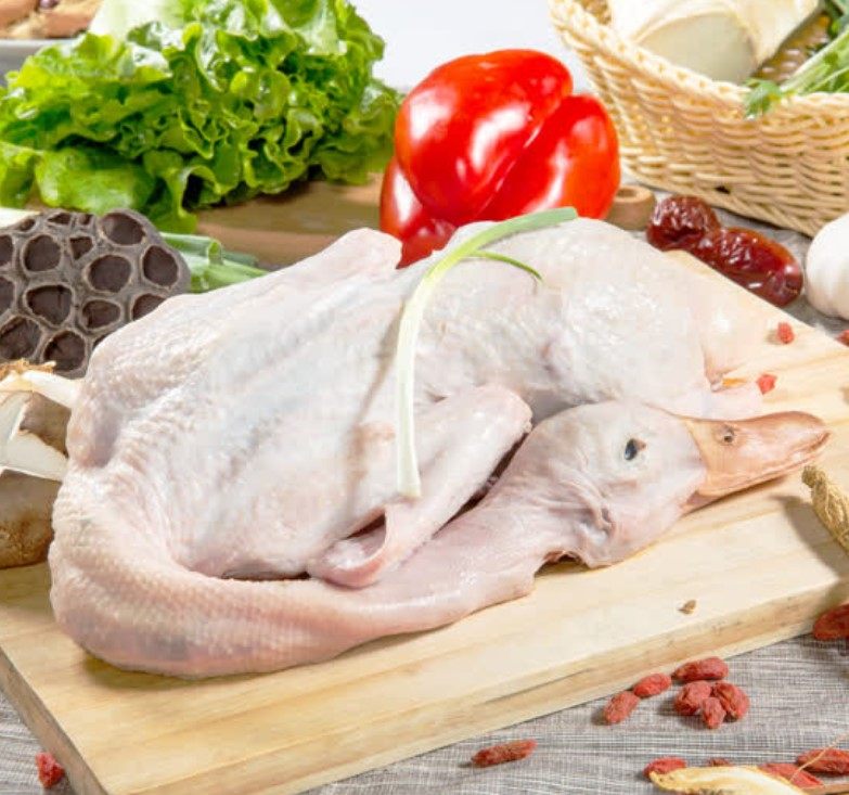 Fairies Green Valley Jin Yun Scattered Ducks 4 4 Supervalued group to send 4 quail Oriental CJ Shopping