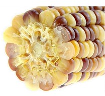 Dream of the masses Glutinous corn special group Oriental CJ shopping