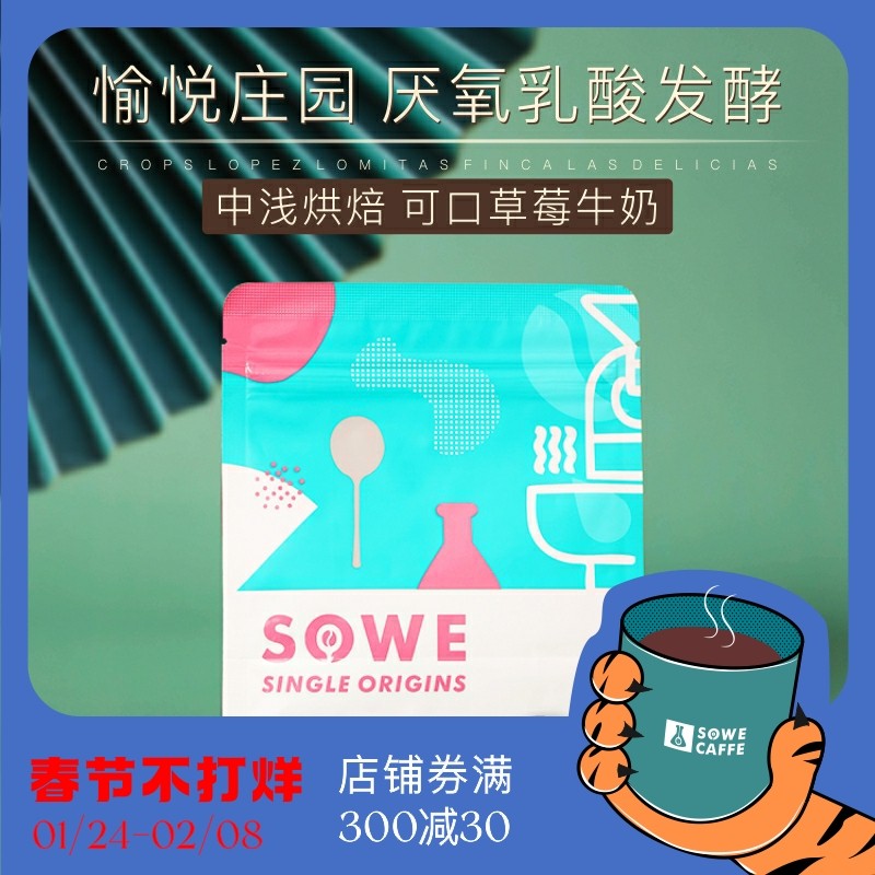 Flavor Pleasure 120g of Anaerobic Lactic Acid Fermentation Sun-dried Coffee Bean in Colombian Palm Tree and Toucan Manor