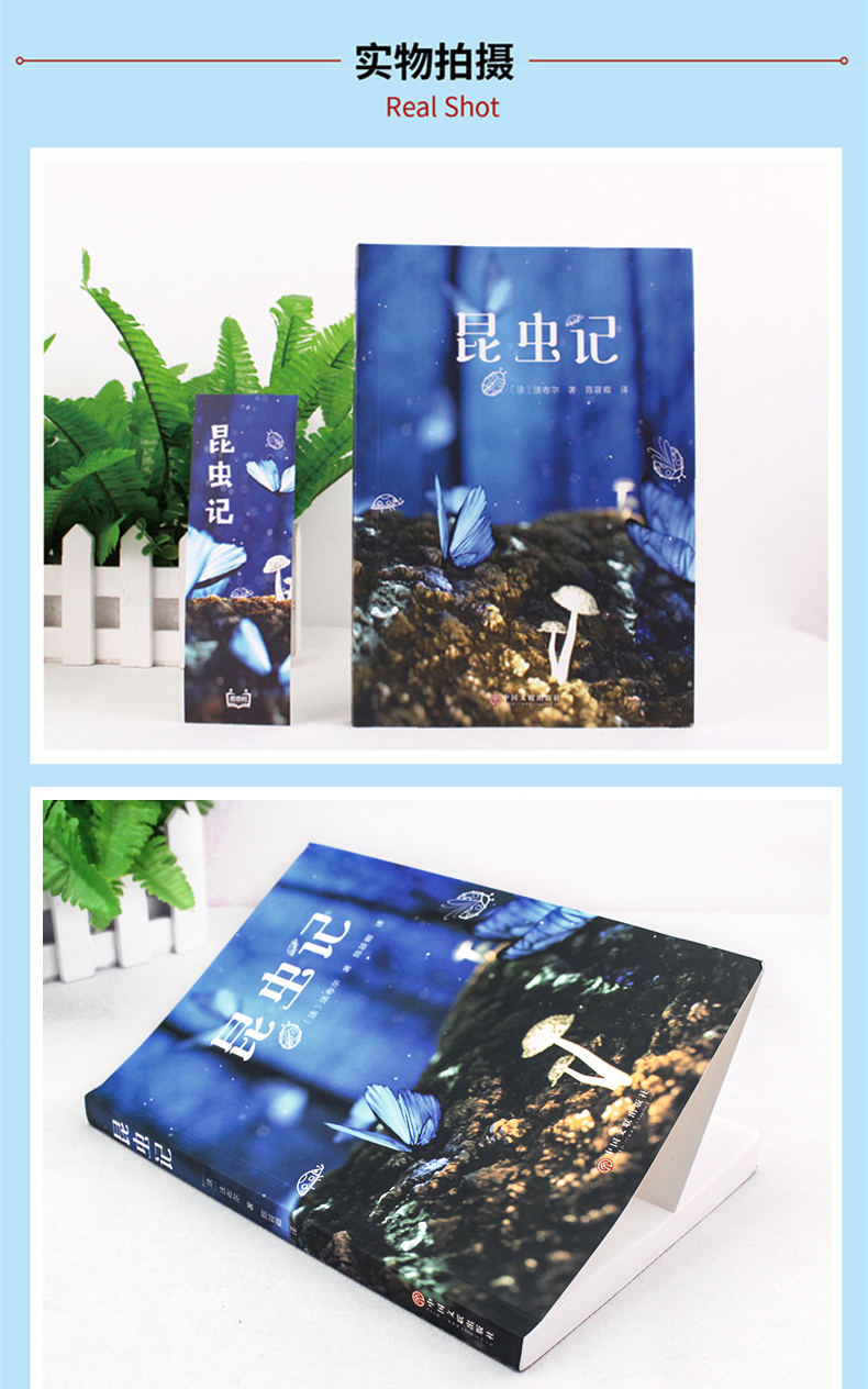 昆虫记 新课标必读名著书籍 图5