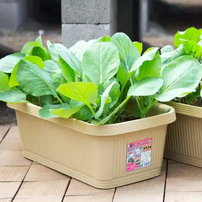 IRIS resin balcony rectangular vegetable pot Green plant flower box Plastic flower pot Ground Alice large vegetable pot