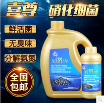 Xizun nitrifying bacteria aquarium digestion bacteria water quality stabilizer fish tank water purifier Nitrifying live bacteria fish farming supplies