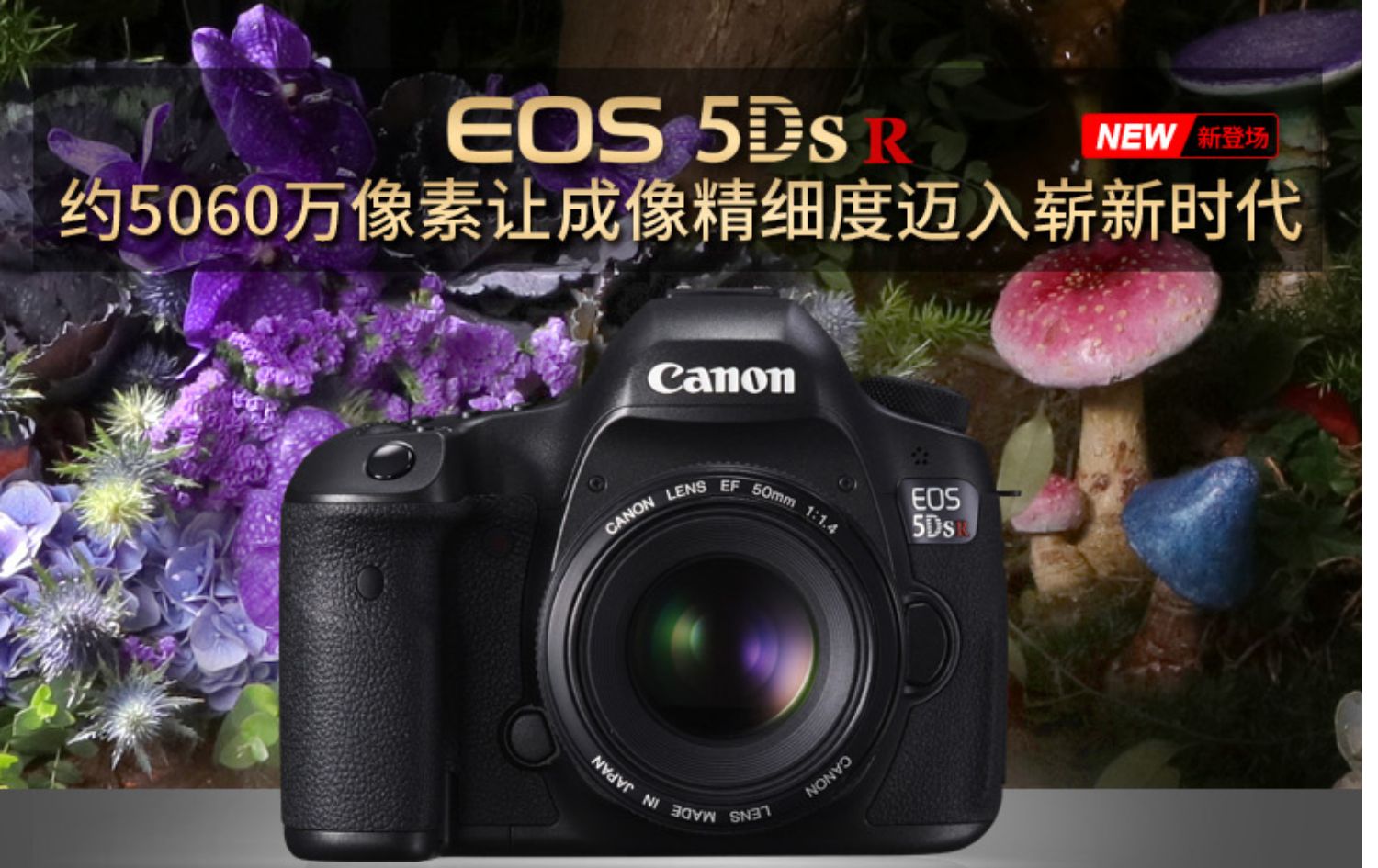 Máy ảnh DSLR độc lập 5 khung R full-frame Canon EOS 5DSR có thể thay thế - SLR kỹ thuật số chuyên nghiệp máy ảnh cơ giá rẻ
