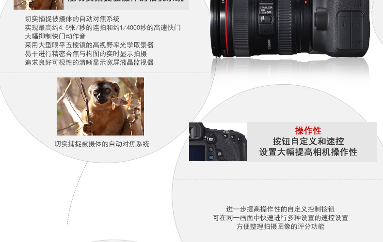 Bộ kit Canon EOS 6D có thể thay thế (ống kính 24-105mm) Máy ảnh DSLR full frame - SLR kỹ thuật số chuyên nghiệp sony máy ảnh