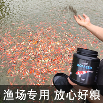 Koi fish feed small particles Spirulina fish food goldfish farming special non-muddy water General small fish food