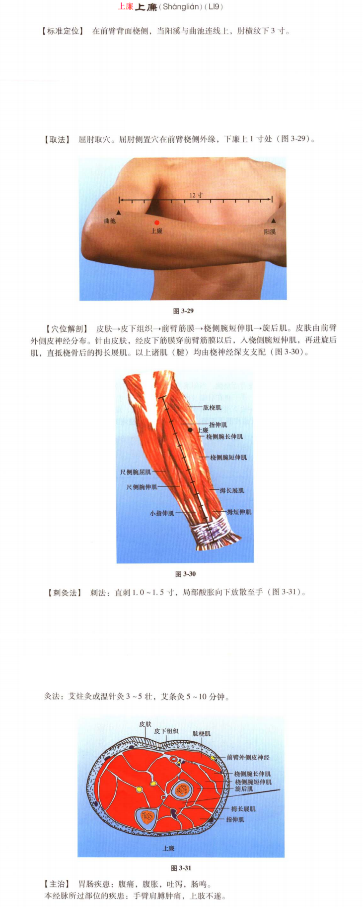 上廉.png