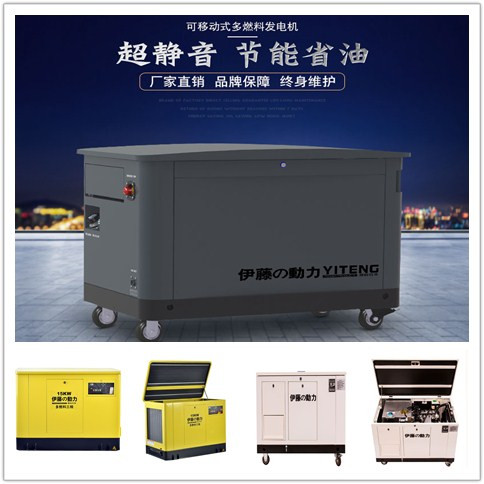 Imported 10 15 20 25 30kw natural gas generator gas household 220v liquefied gas generator mute