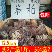 Chinese herbal medicine roll Cypress resurrection grass Nine dead soul grass Immortal grass Stone cypress rock cypress grass green plant 500g