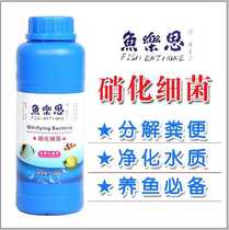 Fish Lesi Digestive Bacteria 5L Fish Water Purification Activity Nitrifying Bacteria Aquatic Liquid Digestive Bacteria