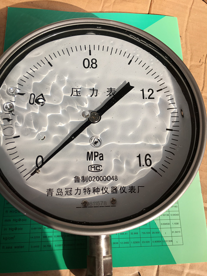 YTN200 Seismic Pressure Gauge Qingdao Crown Force Special Instrument Instrumentation Factory