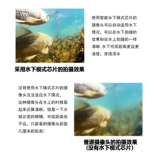 1080p Muddy Water Detective Visual Anchor Fish High -водный рыбацкий артефакт подводная камера, чтобы найти рыбное ночное зрение