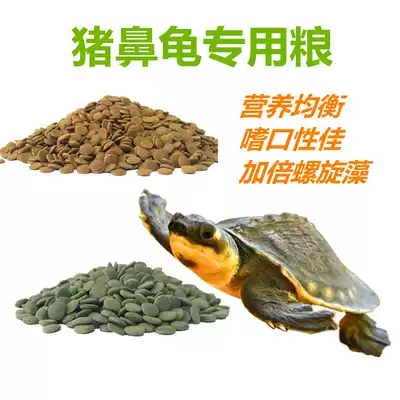 Bulk sinking bottom pig-nosed turtle feed Pig-nosed turtle special food Sinking water turtle food Yellow-headed razor turtle feed turtle food
