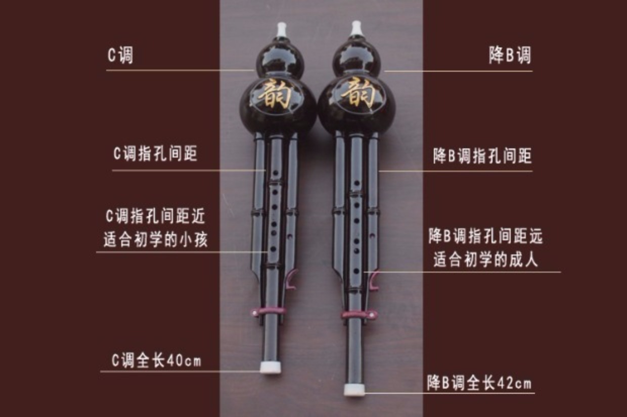 Vân Nam chuyên nghiệp bakelite có thể tháo rời cucurbit lụa c xuống b-track cụ người mới bắt đầu độc quyền quà tặng cucurbit đĩa lụa hộp - Nhạc cụ dân tộc đàn tỳ bà