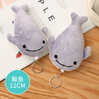 Тибетский голубой двухколорный кит