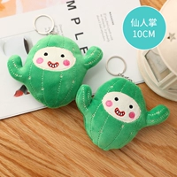 Цветочный кактус шампанского