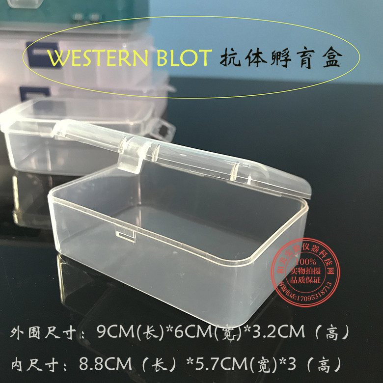 western blot抗体孵育盒 wb抗体孵育 免疫组化湿盒