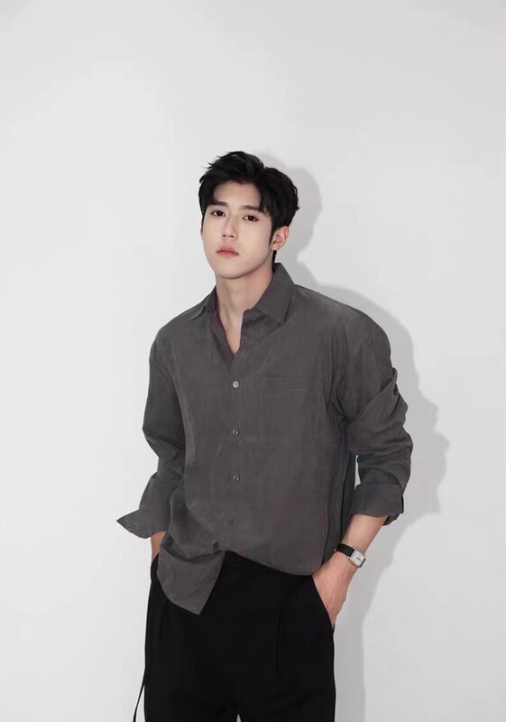 Gray High-End Casual Long-Sleeved Shirt for Men, Spring and Autumn, Korean Style Loose High-End Shirt, No-Iron Shirt
