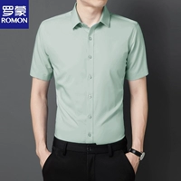 Светло-зеленый