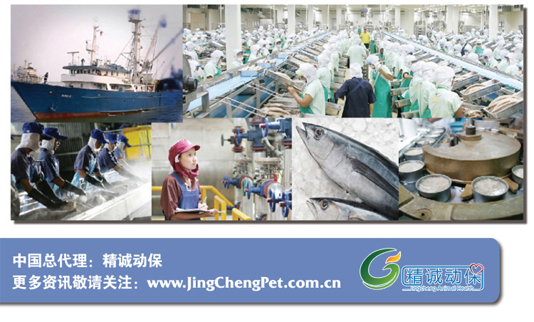 ECO nhập khẩu không có thịt mèo đỏ đóng hộp cho mèo cưng ăn nhẹ thức ăn ướt cá ngừ cá ngừ đóng hộp 80g * 12 - Đồ ăn nhẹ cho mèo thức ăn cho mèo catsrang